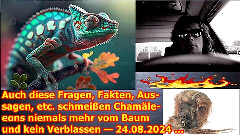 Auch diese Fragen, Fakten, Aussagen, etc. schmeißen Chamäleons niemals mehr vom Baum — 24.08.24 ...