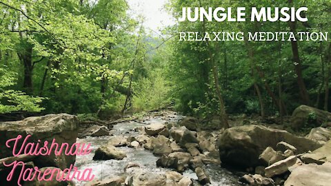 Beautiful Relaxing Music • Peaceful Jungle Music & Forest Music | Nature Mornings, Vaishnav Narendra