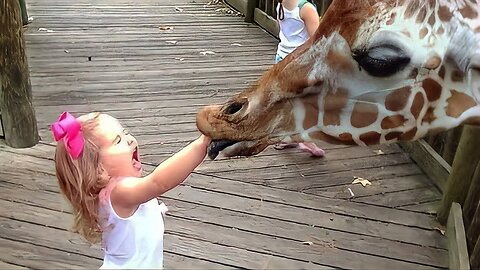 Adorable Babies Meeting Animals in Zoo and Village - Funniest Home video