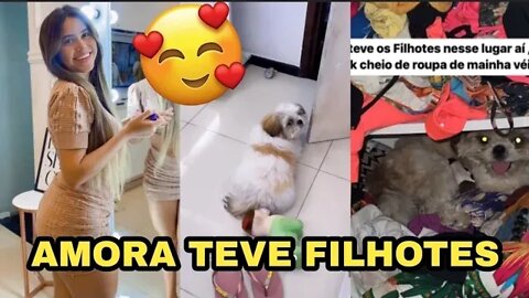 RAISSA OLIVEIRA MOSTRA OS FILHOTES DE AMORA SUA CACHORRA SE ESTIMAÇÃO