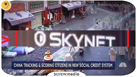 The Chinese Social Credit Score: How It Works and Some Overlooked Aspects