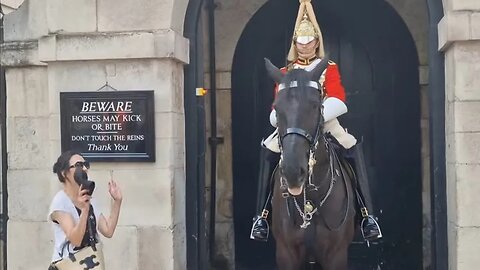 Tourist jumps back when horse stamps it foot #thekingsguard