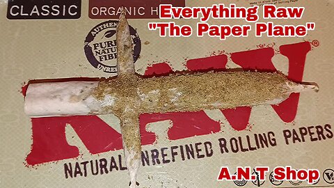 Everything Raw "The Paper Plane"