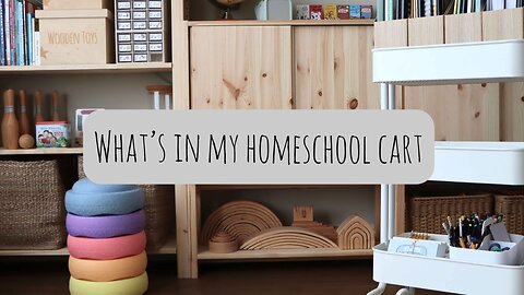 What’s in my Homeschool cart #homeschoolfamily #homeschoolcart