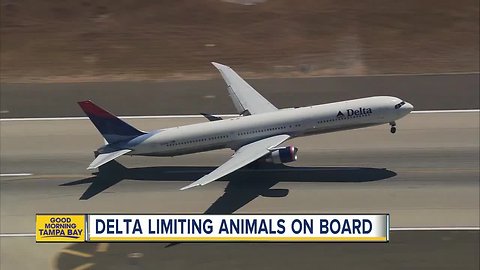 Delta restricts support animals on long flights