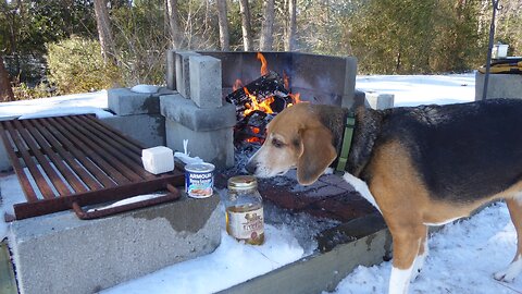 HOUND DOGS and MOONSHINE