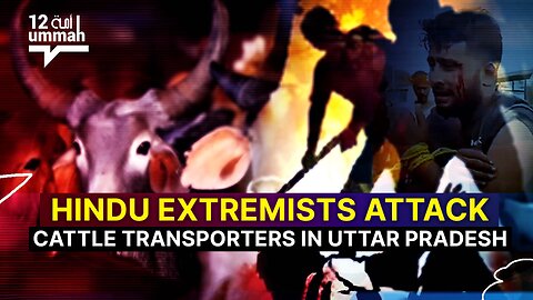 Hindu Extremists Attack Cattle Transporters in Uttar Pradesh