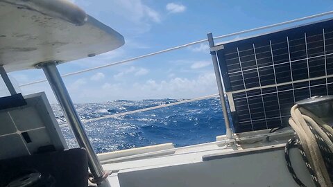 Sailing Chatham Islands To Top Of South Island NZ.