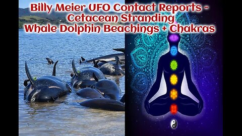 Billy Meier UFO Contact Reports - Cetacean Stranding Whale Dolphin Beachings + Chakras