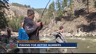 Tubing Steelhead