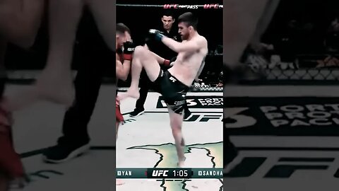 Cory Sandhagen Having An Answer To Petr Yans Striking #fighting #mma #ufc #shorts