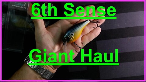 6th Sense Haul - A BIG ONE!