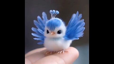 Cute little bird