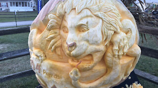 Squashcarver 'Lion and Serpent' giant pumpkin carving time-lapse