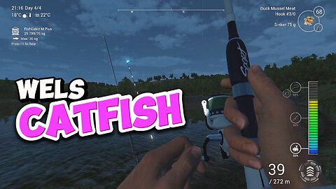 Wels catfish, catfish trophy mission, personal record,Tiber River, Italy, Fishing Planet pc