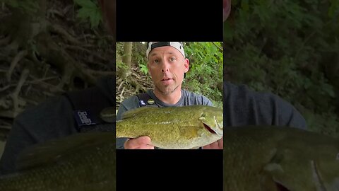 Caught a tank smallmouth on the whopper plopper!