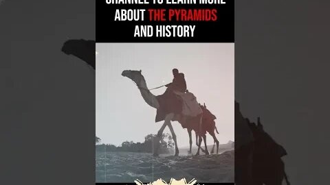 What Happened When Herodotus Visited Egypt in 490 BCE? #shorts