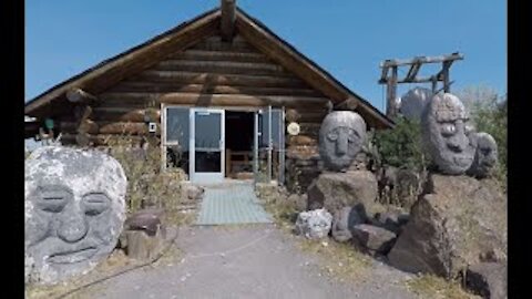 A quick tour of the Shoshone Bird Museum of Natural History