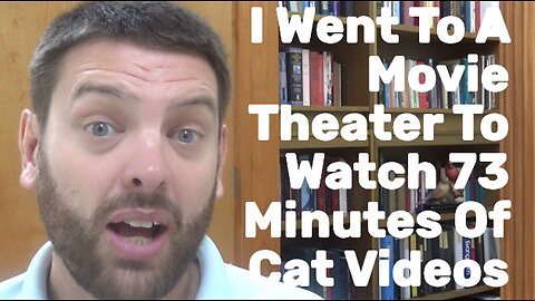 I went To A Movie Theater To Watch 73 Minutes Of Cat Videos