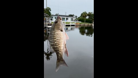 Family Fishing Fun! | 4K