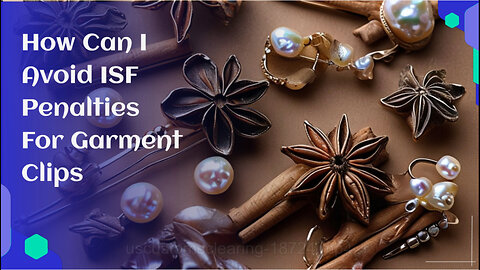 Mastering ISF Compliance: The Key to Avoiding Penalties for Garment Clips