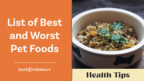 Dr. Becker Shares Her Updated List of Best and Worst Pet Foods