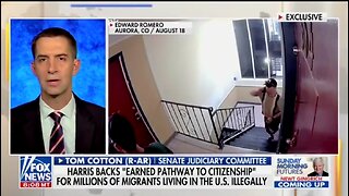 Sen Tom Cotton Makes The BEST Comparison For Kamala's Open Border