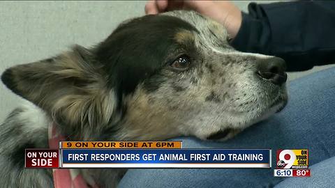 First responders learn animal first aid