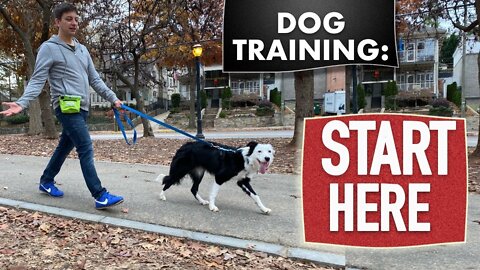 Dog training 🐕🐕