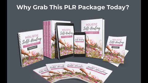 Holistic Self-Healing with PLR