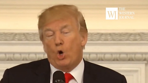 Trump Sends Defiant Message To Congress On Bump Stocks: 'I Don't Care...i'm Writing It Out Myself'