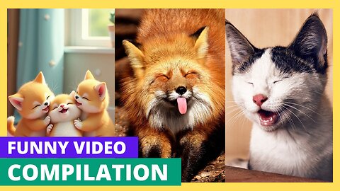 Funny Animal Moments!