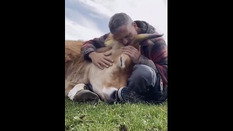 FARMER CONNECTS👨‍🌾🚜🐂 WITH HIS FAVOURITE PET BULL👨‍🌾💚🐂💫