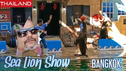 Sea Lion Show, Bangkok - Thailand