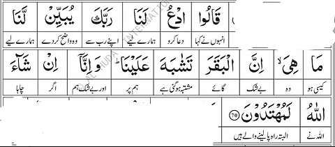 Knowledge of Quran | Surah Al-Baqarah |Ayat-70|