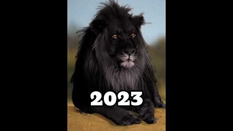 2024 Black Lion and 5000 bce Black Lion