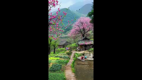 so beautiful village connect with nature