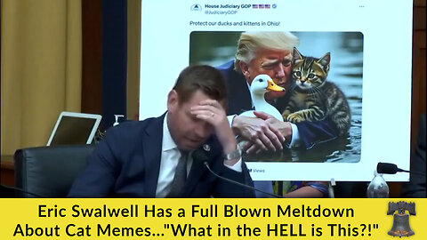 Eric Swalwell Has a Full Blown Meltdown About Cat Memes..."What in the HELL is This?!"