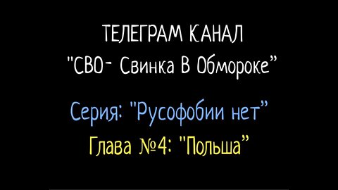 СВО 11. СЕРИЯ: "Русофобии нет". ГЛАВА 4: "Польша"