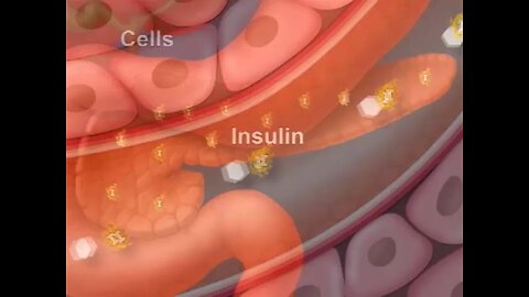 How Diabetes Affects Your Blood Sugar. An Animated Guide