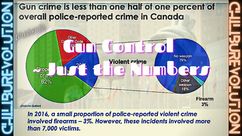 Gun Control ~Just the Numbers