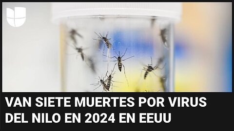 ¿Cómo protegerte de la encefalitis equina oriental y el virus del Nilo Occidental? Te explicamos