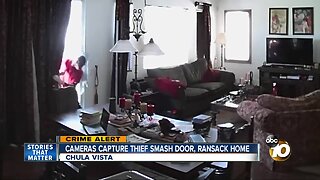 Cameras capture thief smashing door