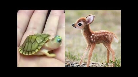 Cute baby animals Videos Compilation cute moment of the animals - Cutest Animals