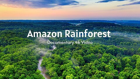 Amazon Rainforest Documentary 4k - The World’s Largest Tropical Rainforest