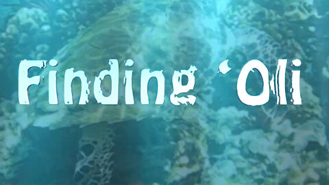 Finding 'Oli: "A True Love Story About A Critically Endangered Hawksbill Sea Turtle"