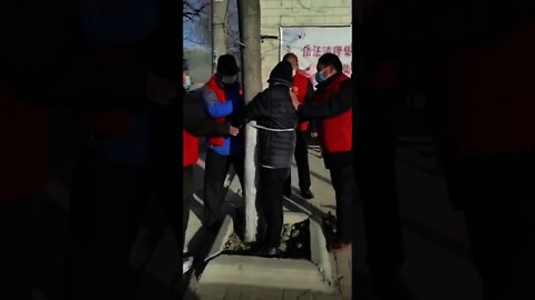 Man Tied to Tree For Breaking Lockdown Rules in Shijaingzhuang, China 石家莊防疫新招：將出門者捆在樹上