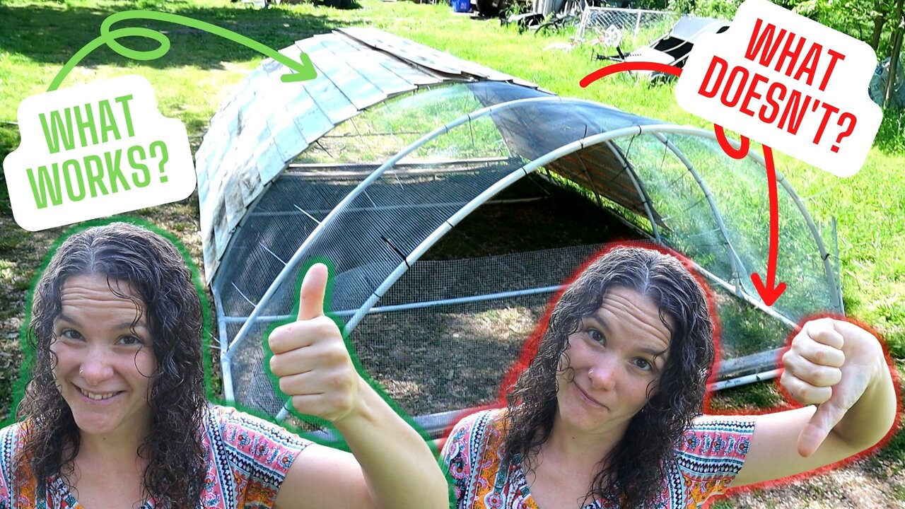 LOW-COST PVC HOOP COOP (Learn from My MISTAKES) ║ SELF-SUSTAINABLE ...