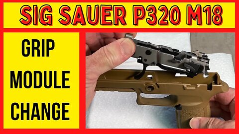 Sig Sauer P320 Customize the Grip by Changing Modules!! Change the Color, Style, Grip Size and more!