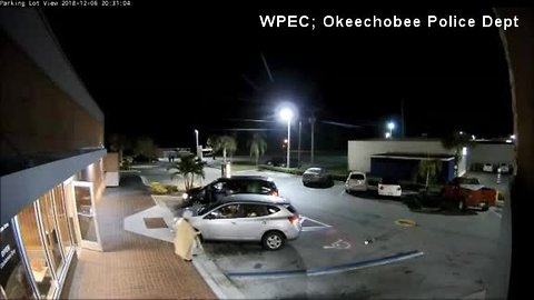 Elderly woman run over by purse thief